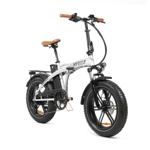 Palma Elektro-Klapprad