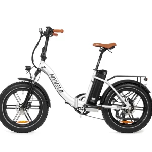 Rio Elektro-Klapprad