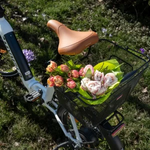 Berlin Elektro-Klapprad