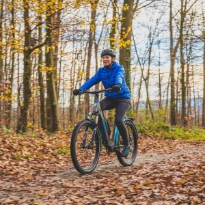 Palermo Equipped E-SUV