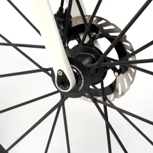 Verona Rennrad - Ltd. 33