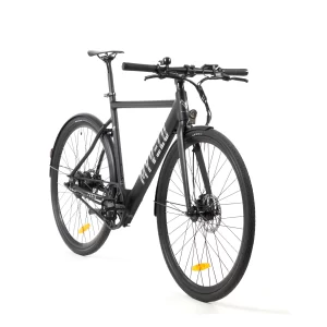 Tokio Singlespeed E-Bike