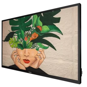 Philips 55BDL4511D 55" Display