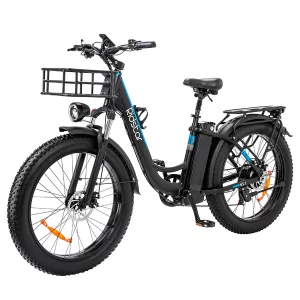 Ridstar MN26 Elektrofahrrad 26" Fat Tires 750W Motor 48V 20Ah Batterie