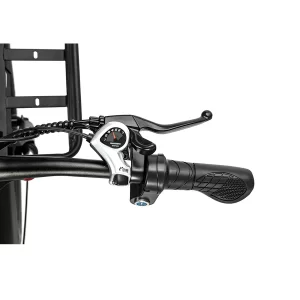 Ridstar MN26 Elektrofahrrad 26" Fat Tires 750W Motor 48V 20Ah Batterie