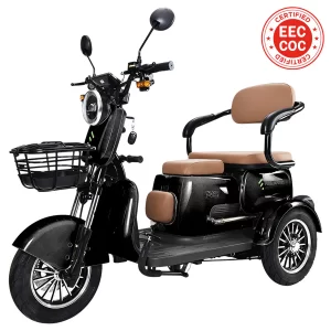 Freejoyer FV6 Elektro-Dreirad 1000W Motor 60V 20Ah Batterie