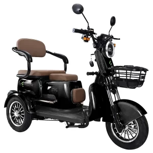 Freejoyer FV6 Elektro-Dreirad 1000W Motor 60V 20Ah Batterie