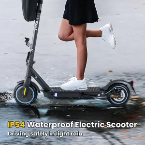 Honey Whale E9 Elektroroller mit ABE 8,5" Reifen 500W 36V 7,5Ah Akku