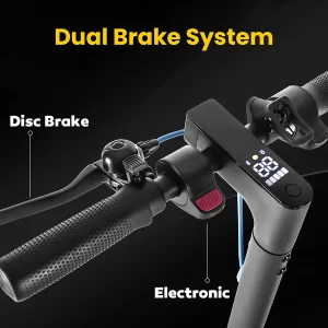 Honey Whale E9 Elektroroller mit ABE 8,5" Reifen 500W 36V 7,5Ah Akku