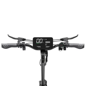 OOTD T10 Elektroroller 11" Reifen 500W Motor 48V 13Ah Batterie