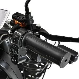 Freejoyer FV6 Elektro-Dreirad 1000W Motor 60V 20Ah Batterie