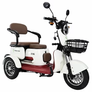 Freejoyer FV6 Elektro-Dreirad 1000W Motor 60V 20Ah Batterie