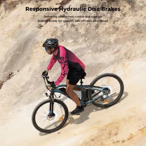 Foride Xtremer 3 Elektrofahrrad 29" Reifen 250W Motor 48V 12Ah Batterie