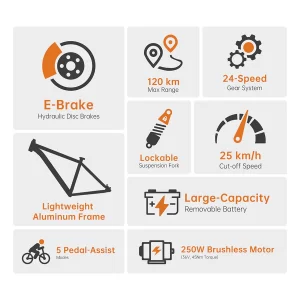 Foride Xtremer 2 Elektrofahrrad 250W Motor 36V 15.6Ah Batterie