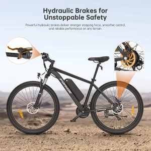 Foride Xtremer 2 Elektrofahrrad 250W Motor 36V 15.6Ah Batterie