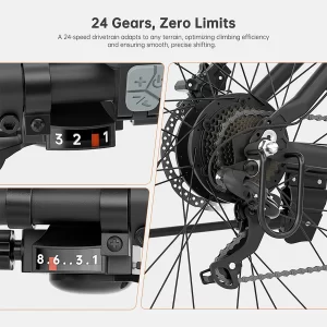 Foride Xtremer 2 Elektrofahrrad 250W Motor 36V 15.6Ah Batterie