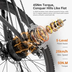 Foride Xtremer 2 Elektrofahrrad 250W Motor 36V 15.6Ah Batterie