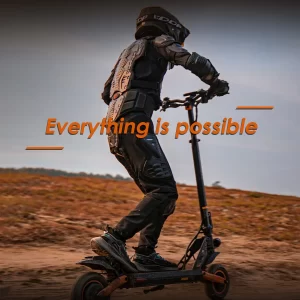 KuKirin G2 Pro Electric Scooter mit Sitz 9'' Reifen 600W 48V 15Ah Batterie