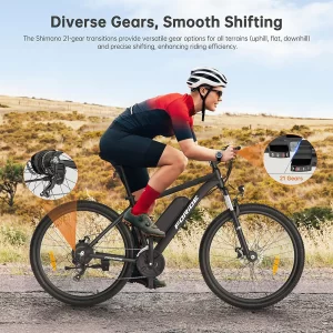 Foride Xtremer 1 Elektrofahrrad 250W Motor 36V 13Ah Batterie