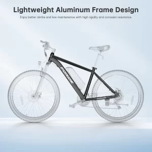 Foride Xtremer 1 Elektrofahrrad 250W Motor 36V 13Ah Batterie