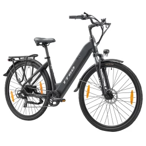 TTGO HZ-28ST Elektrofahrrad 28" Reifen 250W Motor 36V 20Ah Batterie