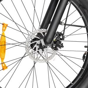 Ridstar MN26 Elektrofahrrad 26" Fat Tires 750W Motor 48V 20Ah Batterie