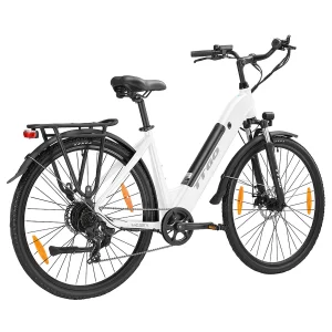 TTGO HZ-28ST Elektrofahrrad 28" Reifen 250W Motor 36V 20Ah Batterie