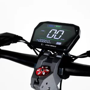 Honey Whale G2 Pro Elektroroller 900 W 54,6 V 16 Ah Batterie