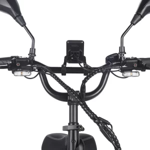 Fafrees F20 Mate Elektrisches Lastendreirad 2025 Version mit Korb