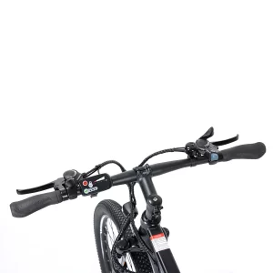 Turoll U1 Elektro-Mountainbike, 250-W-Motor, 36-V-13-Ah-Batterie