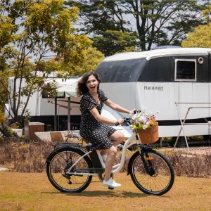 DYU C6 Elektrofahrrad 26" Reifen 350W Motor 36V 12.5Ah Batterie