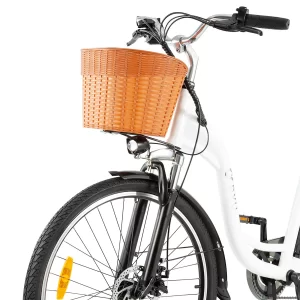 DYU C6 Elektrofahrrad 26" Reifen 350W Motor 36V 12.5Ah Batterie