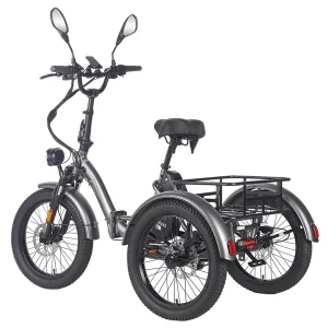 Fafrees F20 Mate Elektrisches Lastendreirad 2025 Version mit Korb