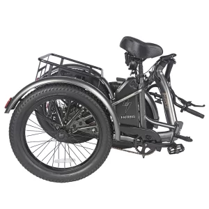 Fafrees F20 Mate Elektrisches Lastendreirad 2025 Version mit Korb