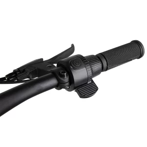 Kukirin G2 Elektroroller 2025 Version 10" Reifen 800W Motor 48V 15,6Ah Batterie