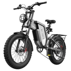 EKXBIKE X20 Elektrisches Dirtbike 20" Offroad-Fettreifen 2000W Motor