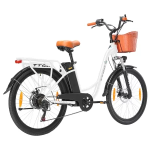 TTGO YY-26ST Elektrofahrrad 26" Reifen 250W Motor 36V 14.5Ah Batterie