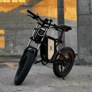 EKXBIKE X20 Elektrisches Dirtbike 20" Offroad-Fettreifen 2000W Motor