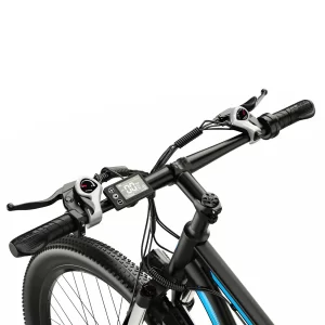 DUOTTS C29 Elektrisches Mountainbike 29" Reifen 750W Motor 48V 15Ah Batterie
