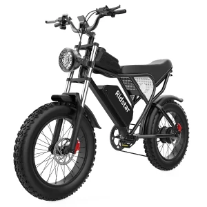 Ridstar Q20 Elektrisches Mountainbike 20" Reifen 1000W Motor 48V 20Ah Batterie