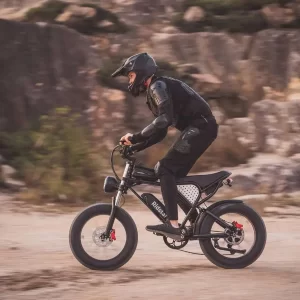 Ridstar Q20 Elektrisches Mountainbike 20" Reifen 1000W Motor 48V 20Ah Batterie