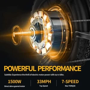 Ridstar Q20 Elektrisches Mountainbike 20" Reifen 1000W Motor 48V 20Ah Batterie