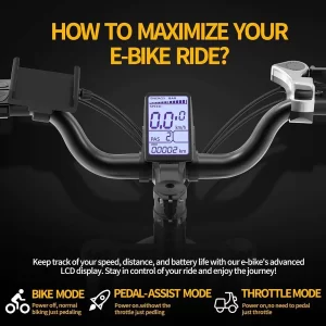 Ridstar Q20 Elektrisches Mountainbike 20" Reifen 1000W Motor 48V 20Ah Batterie