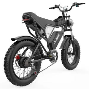 Ridstar Q20 Elektrisches Mountainbike 20" Reifen 1000W Motor 48V 20Ah Batterie