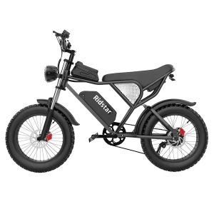 Ridstar Q20 Elektrisches Mountainbike 20" Reifen 1000W Motor 48V 20Ah Batterie
